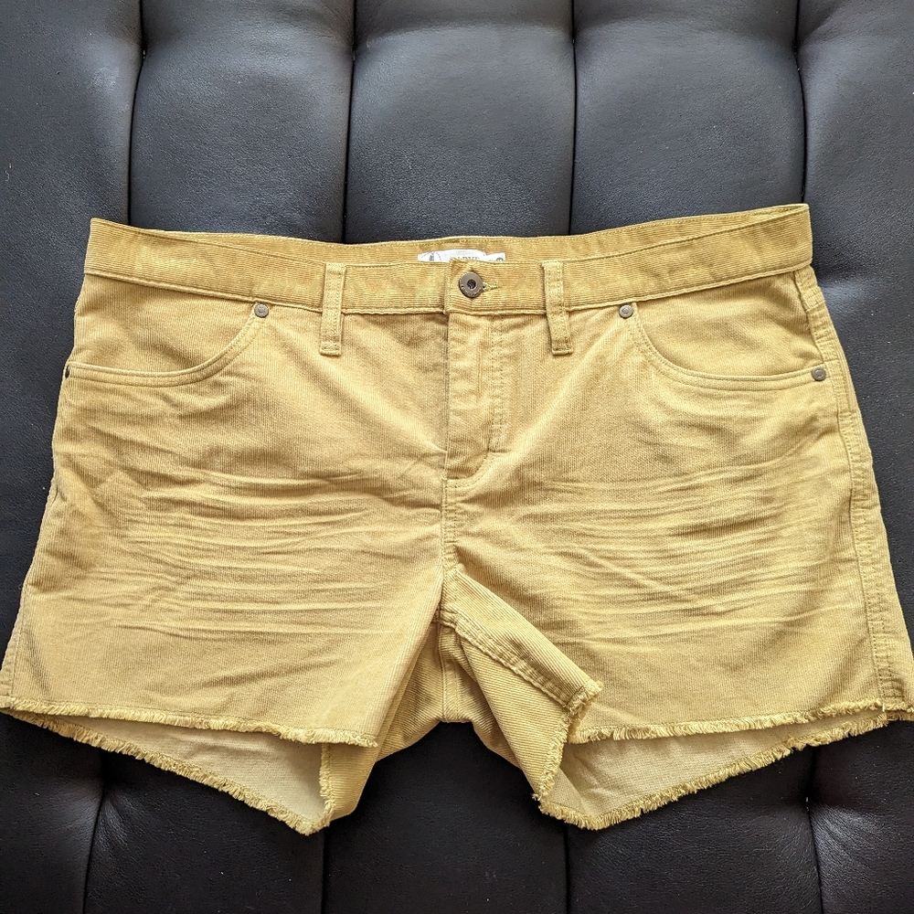 Carve Designs women's shorts, khaki size 12